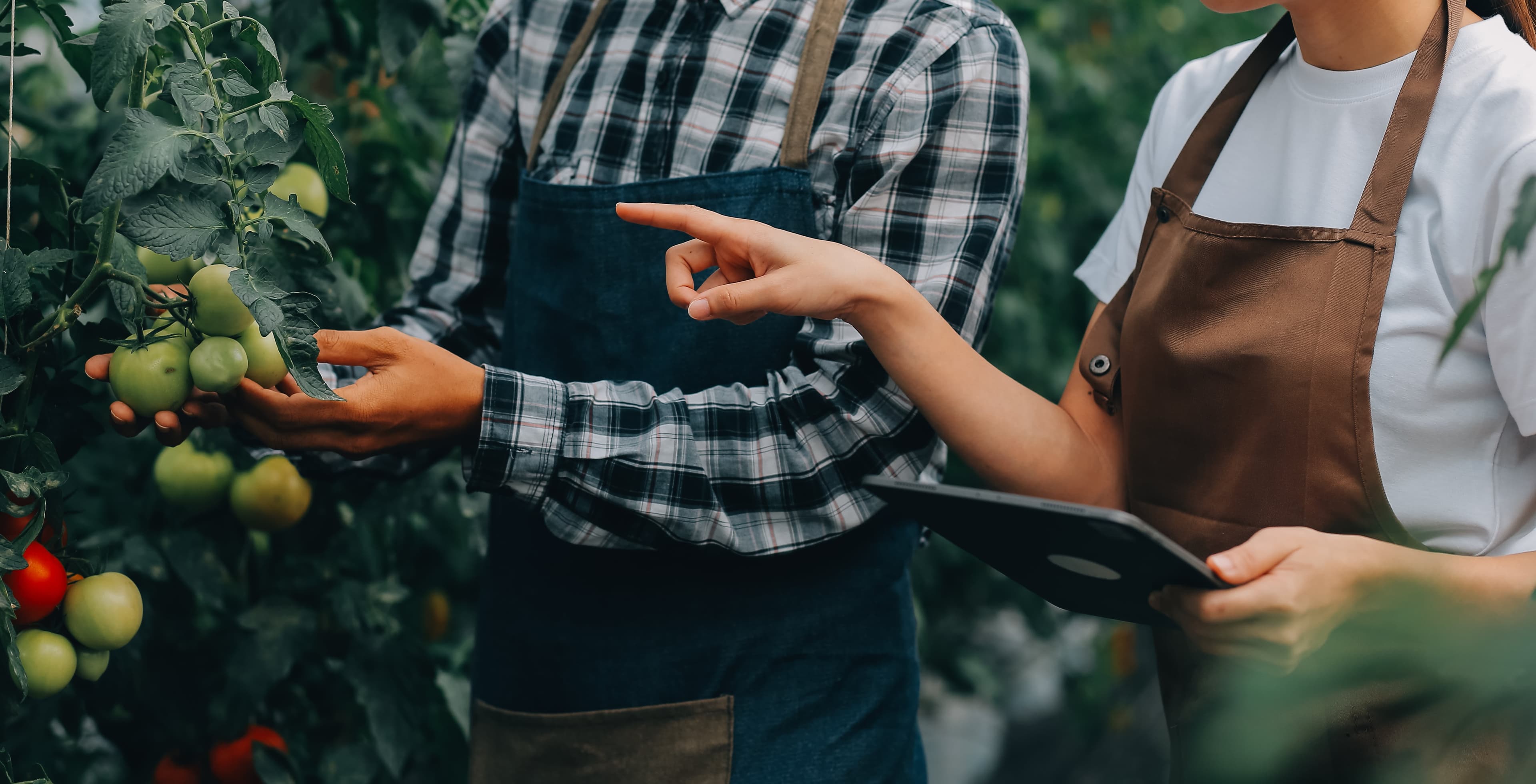 Education Platform Background