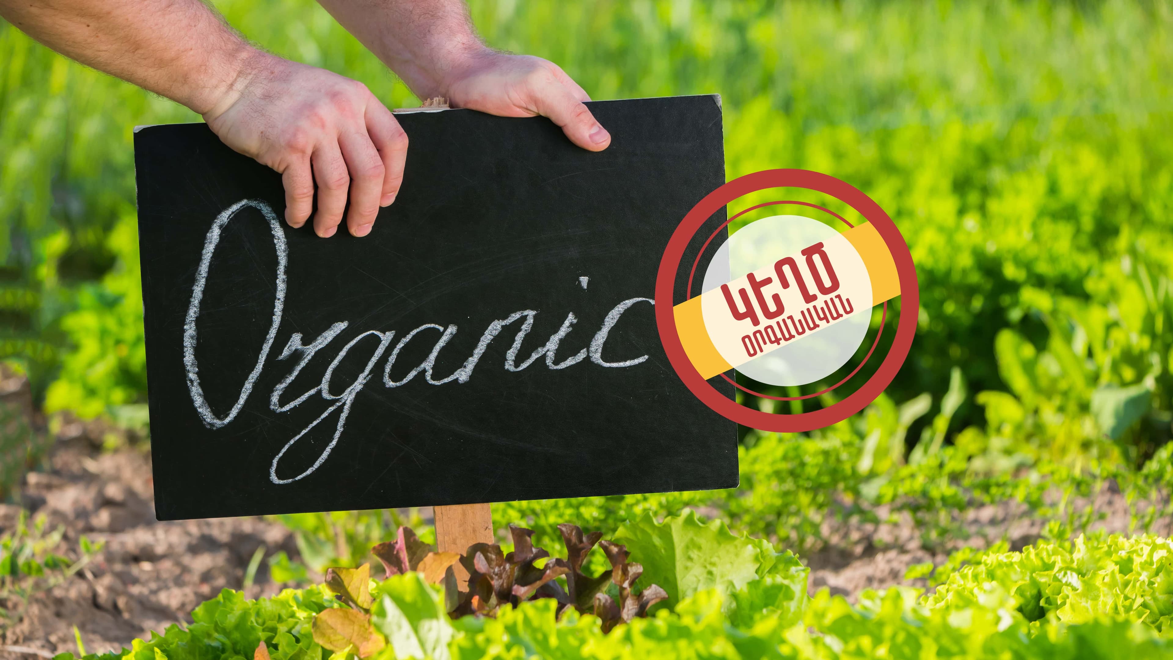 Օրգանական խաբեություն