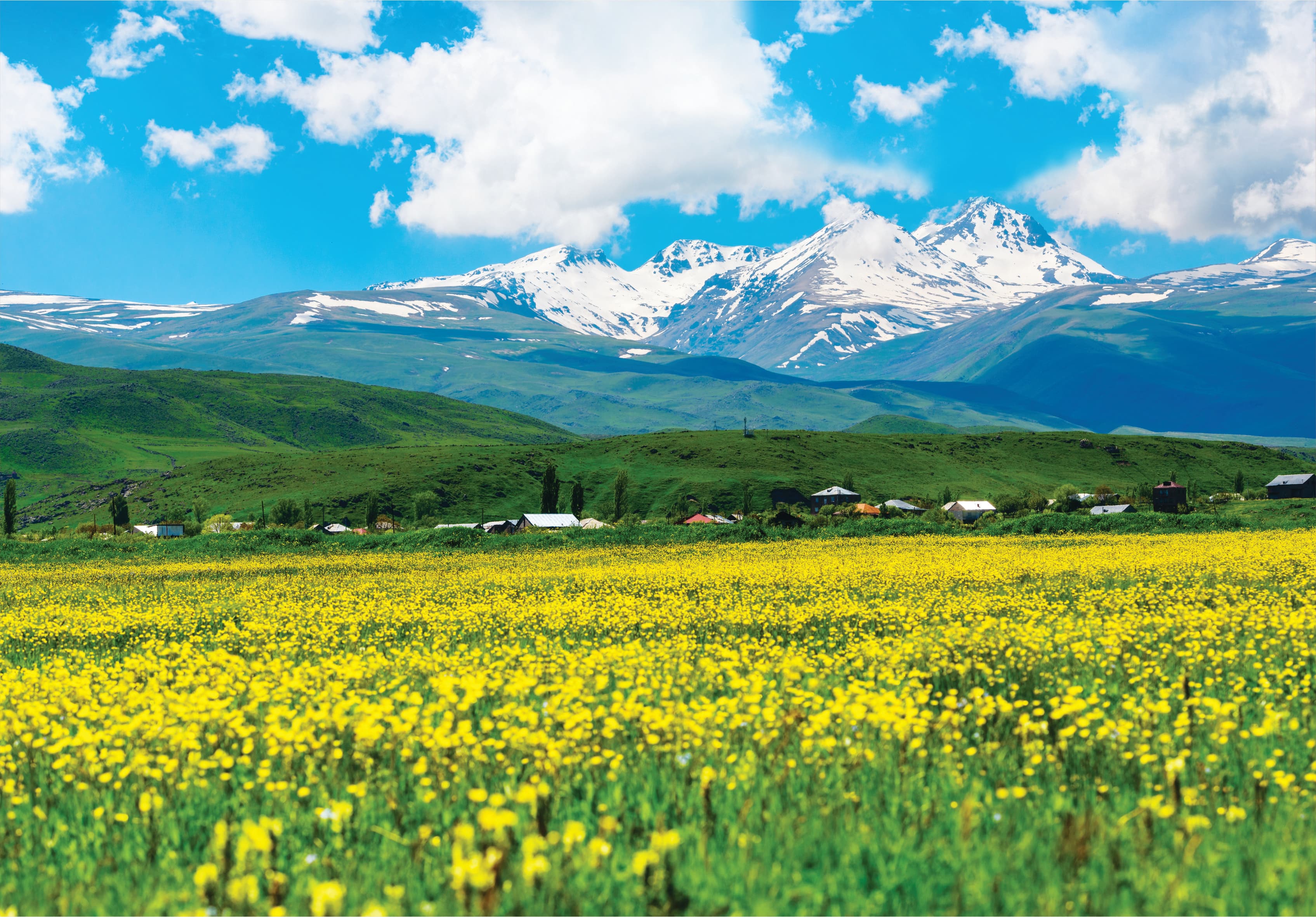 Օրգանական գյուղատնտեսություն